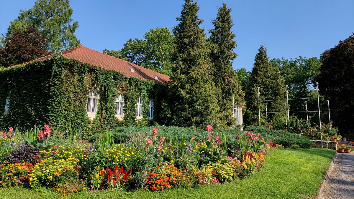 National Botanical Garden, Vácrátót